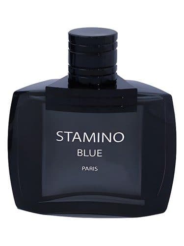 Prime Collection Stamino Blue