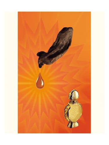Rasasi Shatha Al Oudh