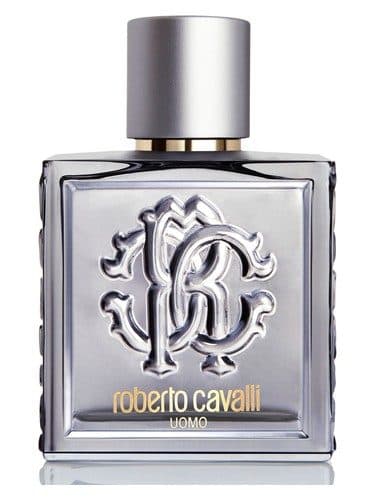 Roberto Cavalli Roberto Cavalli Uomo Silver Essence