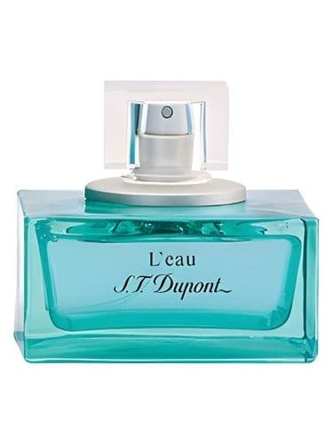 S T Dupont L Eau de S T Dupont Pour Homme