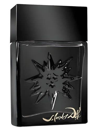 Salvador Dali Black Sun