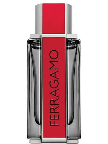 Salvatore Ferragamo Ferragamo Red Leather