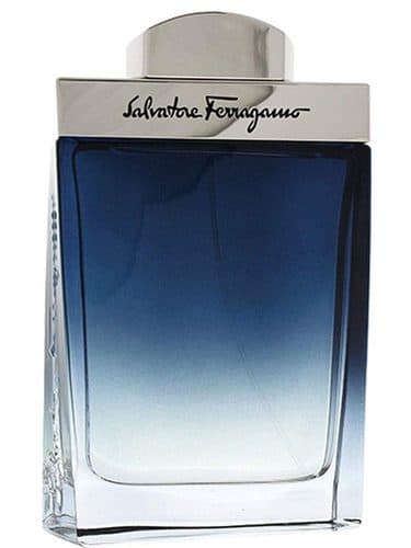 Salvatore Ferragamo Subtil Pour Homme