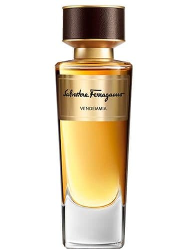 Salvatore Ferragamo Vendemmia