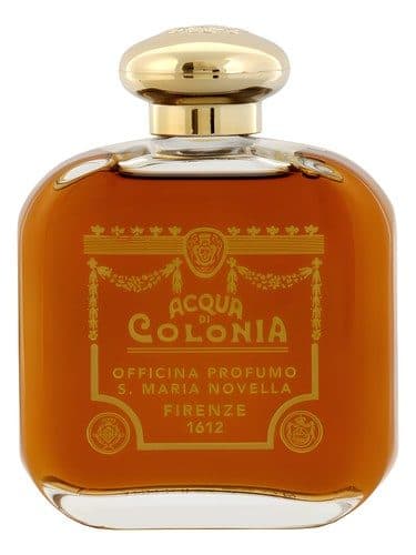 Santa Maria Novella Frangipane