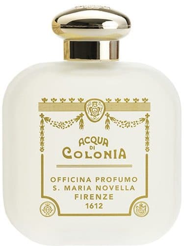 Santa Maria Novella Iris