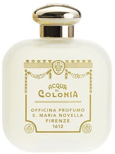 Santa Maria Novella Violetta