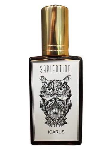 Sapientiae Niche Icarus