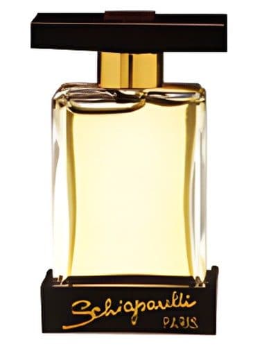 Schiaparelli Shocking You