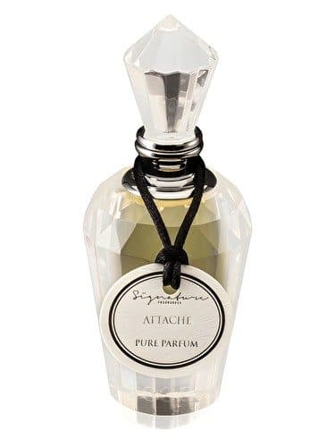 Signature Fragrances Attache