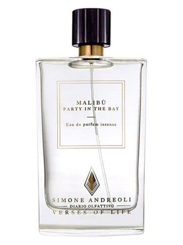 Simone Andreoli Malibu Party in the Bay