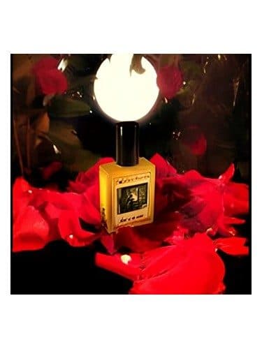 Solstice Scents Heart of the Night