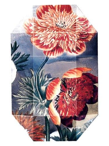 Stella Mccartney Print Collection Stella 03