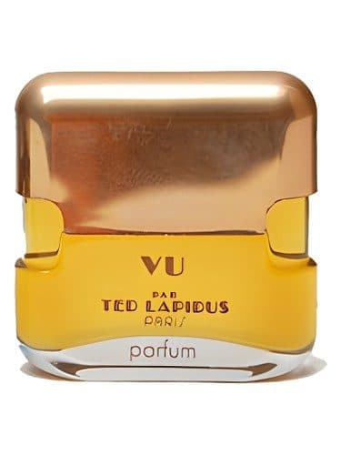 Ted Lapidus Vu Par Ted Lapidus