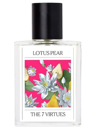 The 7 Virtues Lotus Pear