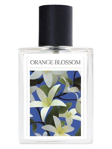 The 7 Virtues Orange Blossom