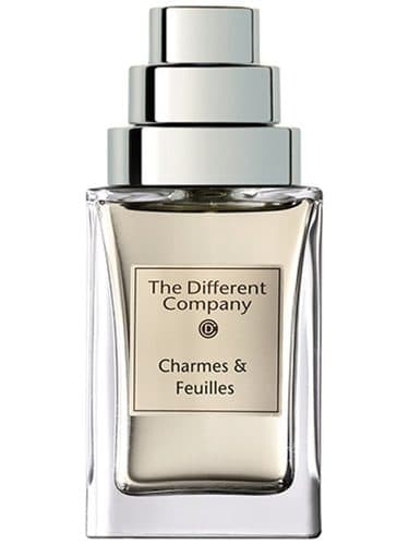 The Different Company Charmes Et Feuilles