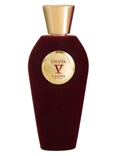 V Canto Cicuta