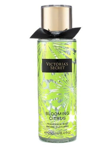 Victoria's Secret Blooming Citrus