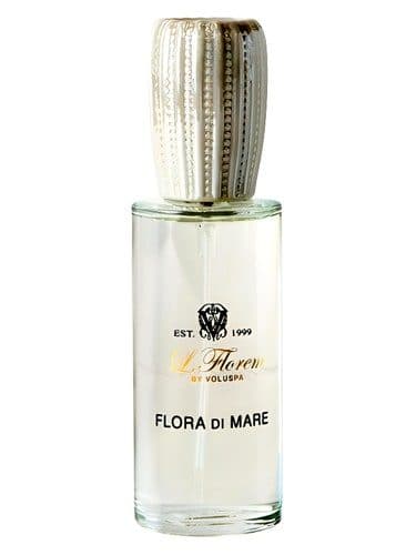 Voluspa Flora de Mare