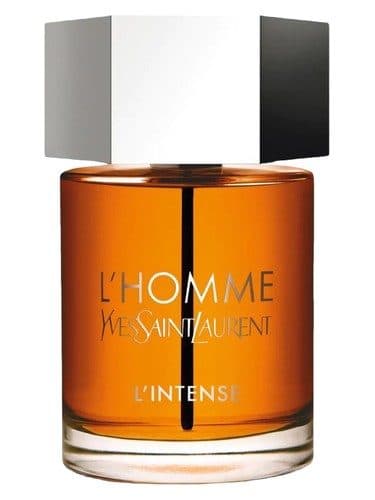 Yves Saint Laurent L Homme Parfum Intense