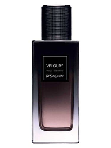 Yves Saint Laurent Velours