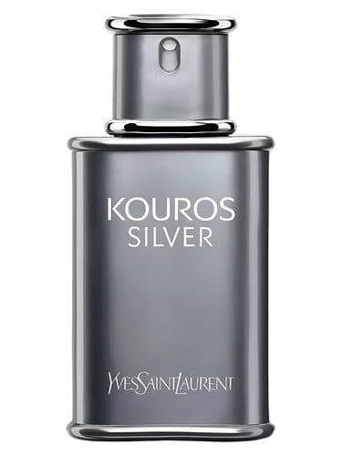 Yves Saint Laurent Yves Saint Laurent Kouros Silver