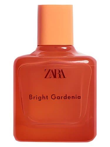 Zara Bright Gardenia