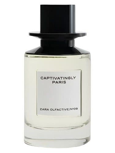 Zara Captivatingly Paris