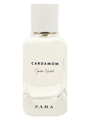Zara Cardamom Gender Neutral