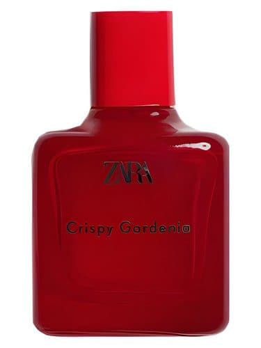 Zara Crispy Gardenia