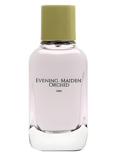 Zara Evening Maiden Orchid