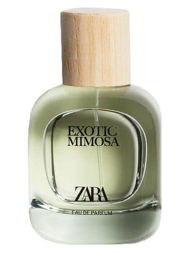 Zara Exotic Mimosa