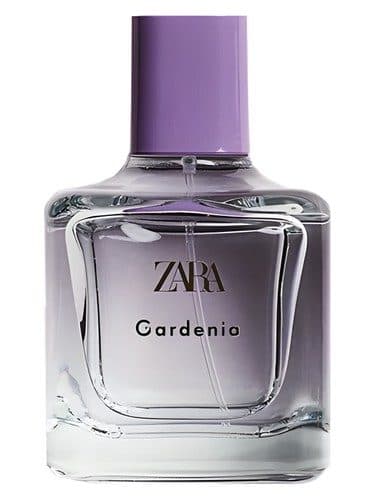 Zara Gardenia