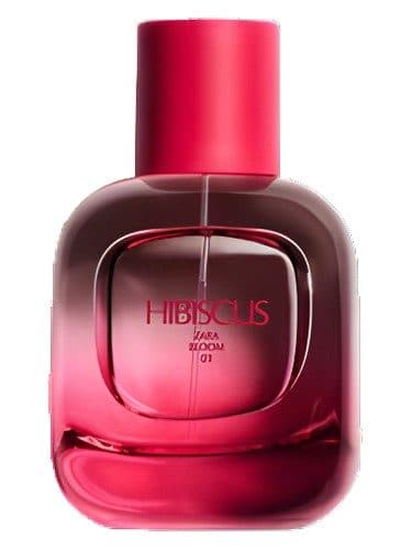 Zara Hibiscus