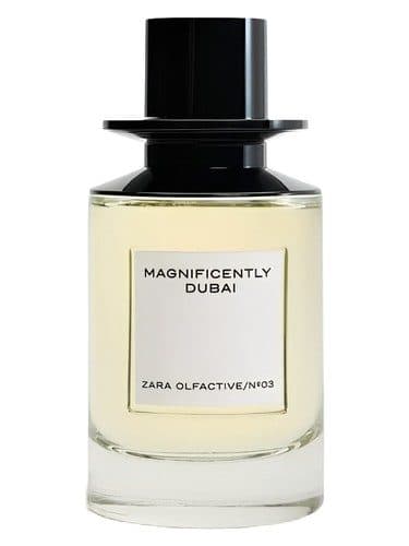 Zara Magnificently Dubai