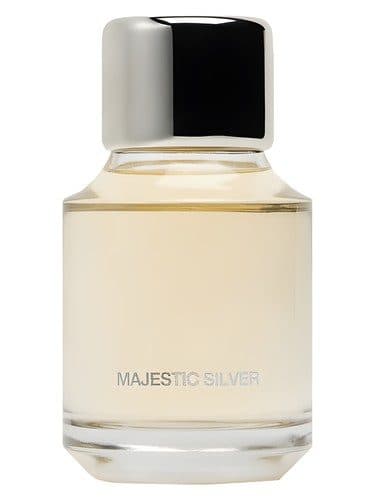 Zara Majestic Silver
