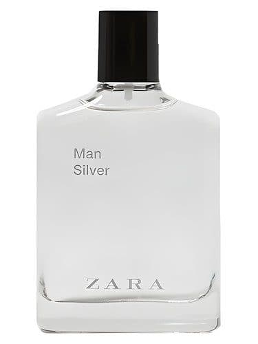 Zara Man Silver