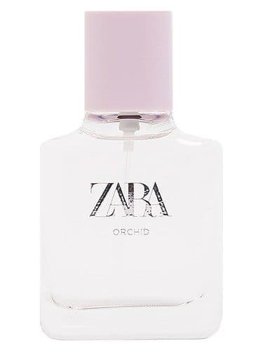 Zara Orchid 2019