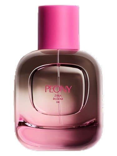 Zara Peony