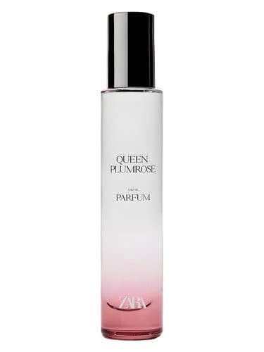 Zara Queen Plumrose