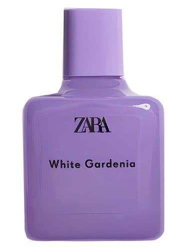 Zara White Gardenia