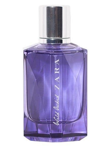 Zara Wild Orchid