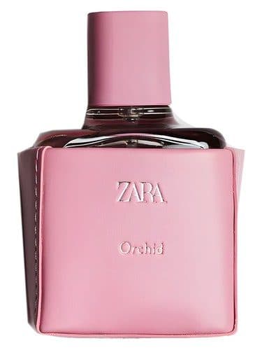 Zara Zara Orchid 2021