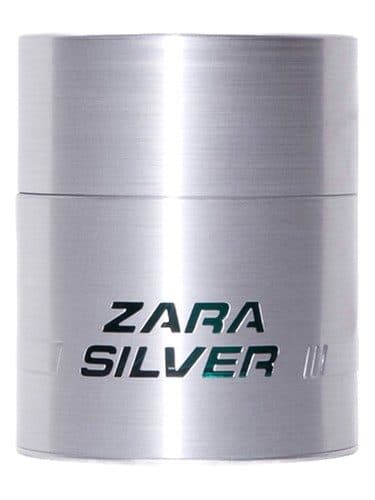 Zara Zara Silver